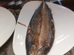 秋刀鱼-金陵大饭店·金海湾咖啡厅海鲜自助餐(春华大道店)
