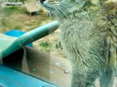 -青藏高原野生动物园