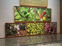 -南越王博物院(王宫展区)