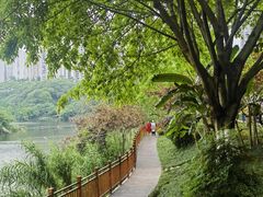 -重庆彩云湖湿地公园
