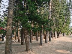 -金山植物公园