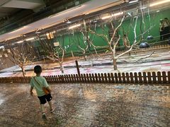 -上海大自然野生昆虫馆(东方明珠·爬宠昆虫探索中心)