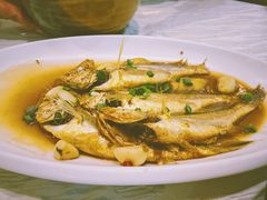 小黄鱼-温岭人家(红花北路店)