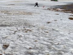 -马家湾湿地公园