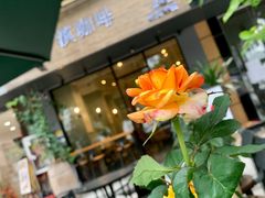 -滇咖啡体验店