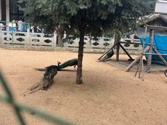 -长春农业博览园