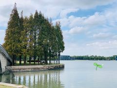 景点-上海月湖雕塑公园