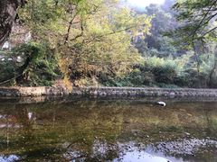 -水墨汀溪风景区