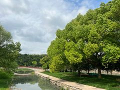 -东钱湖旅游度假区