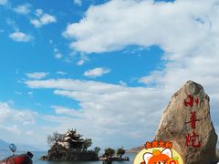 -小普陀