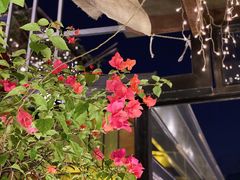 -萨芭蒂高空花园餐酒吧