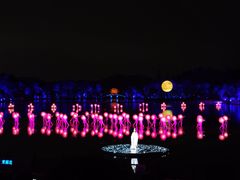 -印象西湖·最忆是杭州实景演出