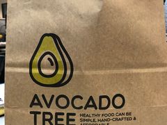 -油梨树AVOCADO TREE(嘉里中心店)