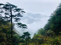 -明堂山风景区