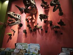 -1868 Café(上海自然博物馆店)