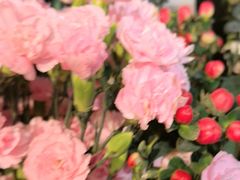 -MCJ-花店(西罗园店)