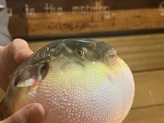 -永安鱼庄·镇江菜(丁卯店)