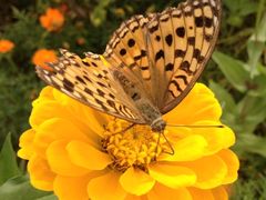 景点-唐指山风景区