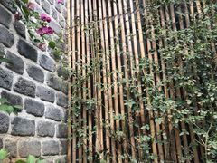 -瓦库茶馆17号(海汇港店)