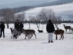 -塞罕坝国家级自然保护区