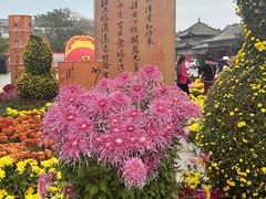 -中国翰园碑林
