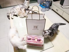 -奈雪的茶(漫广场店)