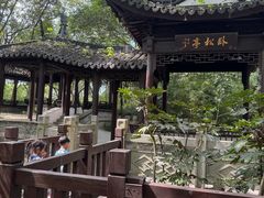 -上海佘山国家森林公园天马山园