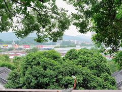 -广州神农草堂中医药博物馆