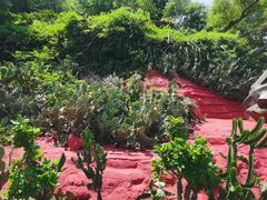 -涠洲岛火山国家地质公园