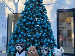 -小意思咖啡店(草桥店)