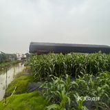 广州周边｜家庭农家乐｜钓鱼采摘土窑鸡烧烤下午茶胜地