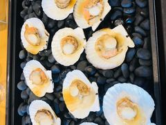 -南紀白浜 浜千鳥の湯 海舟