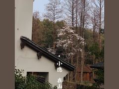 -杭州植物园