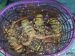 -鸿港海鲜批发市场