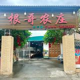 食在顺德！顺德土著带路！寻味顺德不迷路！