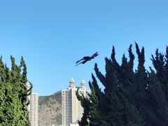 -星海广场