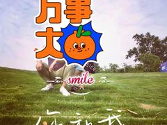 -马帮寨绿地农庄店