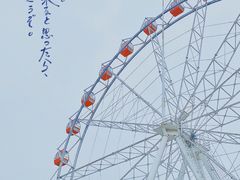 -贵安欢乐世界