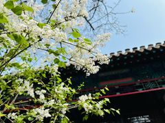 -保定直隶总督署博物馆