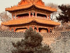-北陵公园