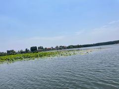 -白洋淀风景区