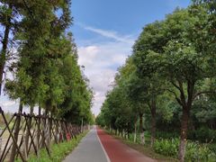 -上海长兴岛郊野公园