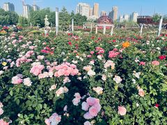 -廊坊市自然公园