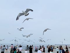 -东港音乐喷泉广场