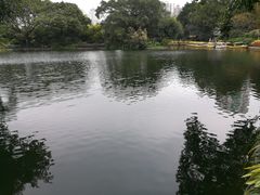 -晓港公园