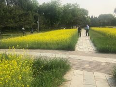 -北坞公园