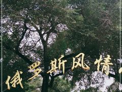 -俄罗斯风情小镇