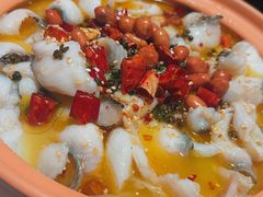 非主流酸汤鱼-Aqua Oasis 水天堂(太湖中心mall店)