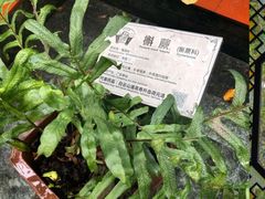 -广州神农草堂中医药博物馆