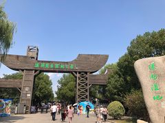 -溱湖国家湿地公园